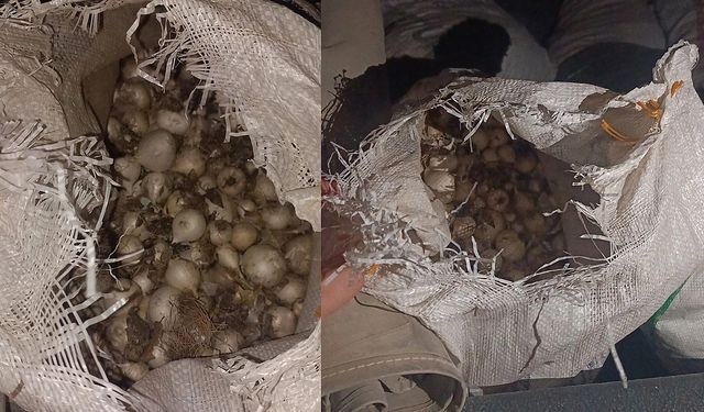 Jandarma harekete geçti… O bölgede bütün güzergahlar kapatıldı!