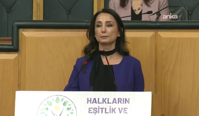 Tülay Hatimoğulları'ndan İmralı ziyareti açıklaması: Olumlu geçti, tutanaklar yayınlansın