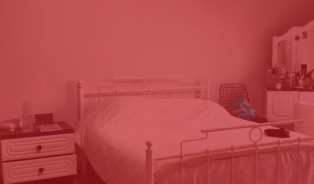 Binlerce ev kamerası hacklendi! Yatak odası görüntüleri internete düştü