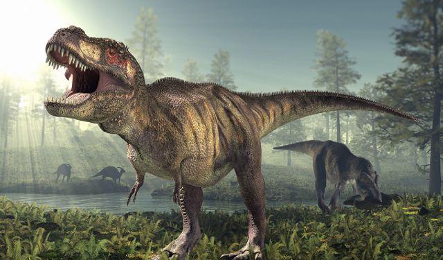 Çin’de 125 milyon yıl öncesine ait iki yeni Dinozor türü keşfedildi