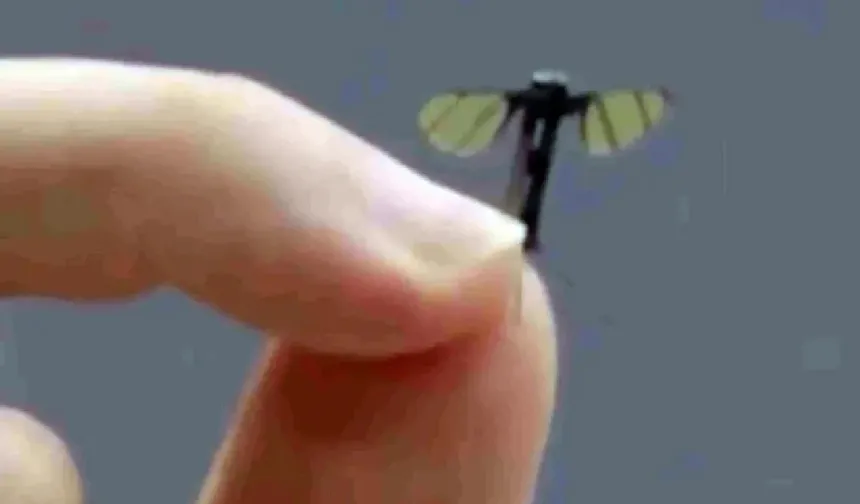 Sivrisinekten farksız mini drone! Savaş alanları ve operasyonlarda kullanılması amaçlanıyor