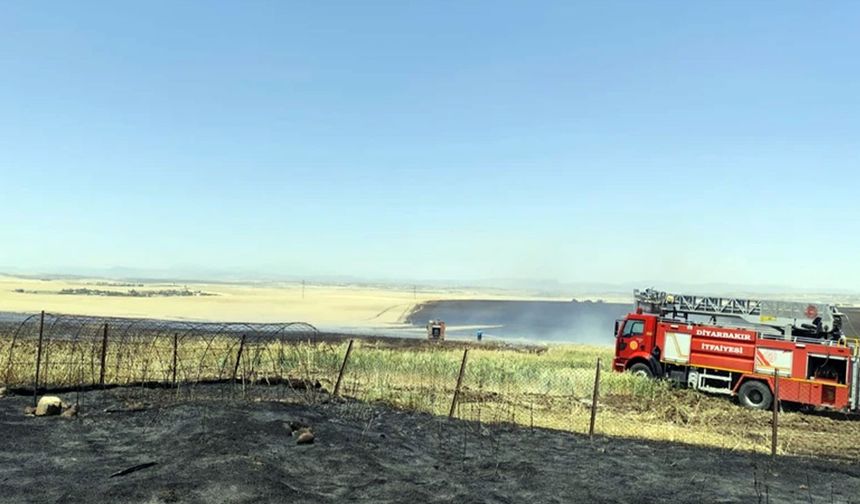 Diyarbakır'da 1000 hektarlık alanı kül eden yangın