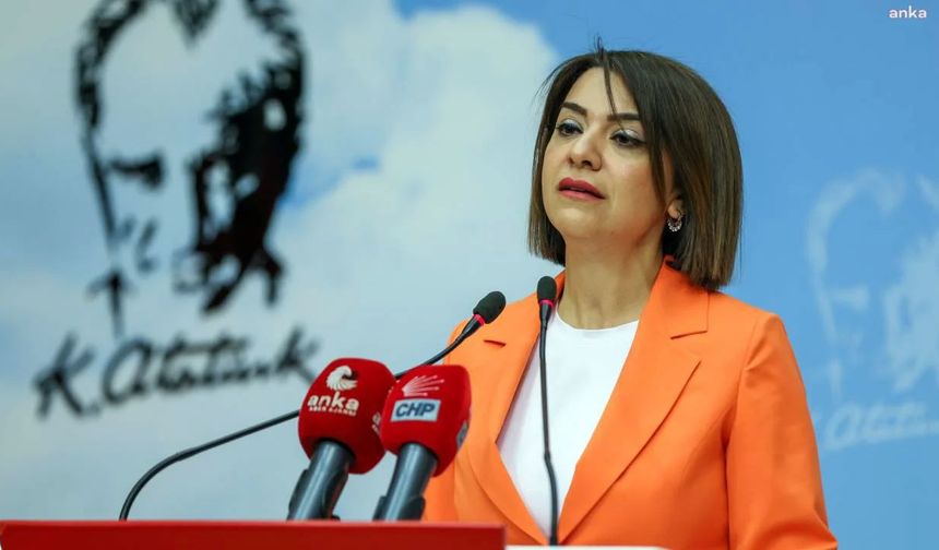 CHP’li Gamze Taşçıer: "Türkiye’nin ihtiyacı gericiliği beslemek değil, bilimsel eğitim politikasını güçlendirmektir"